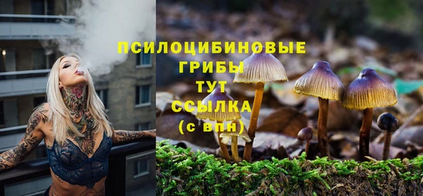 скорость Алзамай