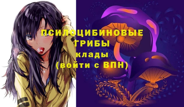 2c-b Семёнов