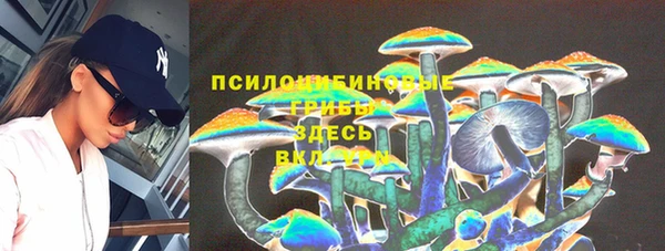 гашик Домодедово