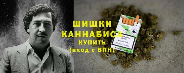 прущие грибы Абдулино