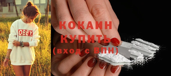 прущие грибы Абдулино