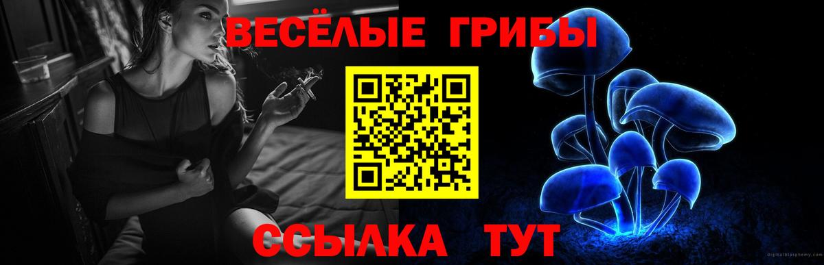 Галлюциногенные грибы Psilocybe  Вход с VPN  Конаково 